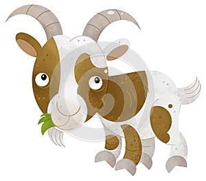 cartoon scene with happy goat farm animal theme isolated background illustration for children