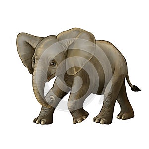 Cartoon scene with little elephant on white background safari coloring page sketchbook