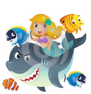 cartoon scene with mermaid princess and shark swimming together having fun with coral reef fishes isolated illustration for kids
