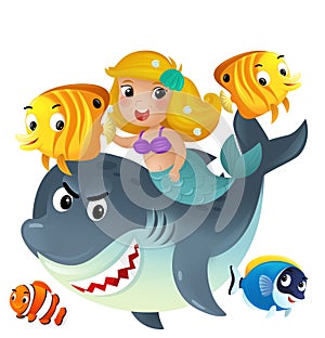 cartoon scene with mermaid princess and shark swimming together having fun with coral reef fishes isolated illustration for kids