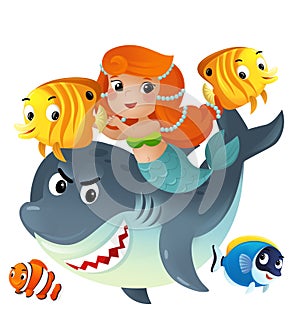 cartoon scene with mermaid princess and shark swimming together having fun with coral reef fishes isolated illustration for kids