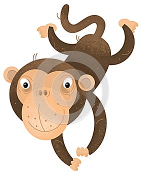 cartoon scene with monkey ape animal theme isolated on white background illustration for children