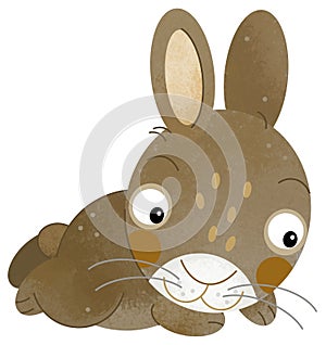 cartoon scene with rabbit bunny hare farm animal theme isolated background illustration for children