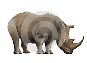 Cartoon scene with rhinoceros safari animal