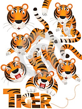 Cartoon scene with set of tigers on white background with sign name of animal