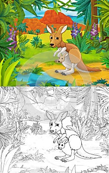 Cartoon scene with sketch kangaroo with continent map - illustration