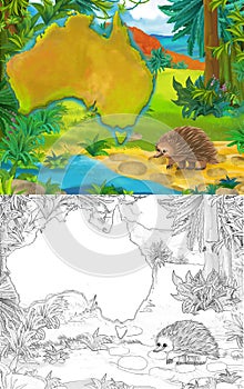 Cartoon scene with sketch porcupine with continent map - illustration