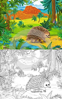 Cartoon scene with sketch porcupine hedgehog with continent map - illustration