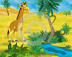 Cartoon scene - wild africa animals - giraffe