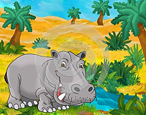 Cartoon scene - wild africa animals - hippo