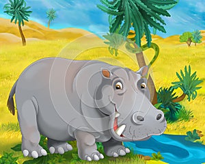 Cartoon scene - wild africa animals - hippopotamus
