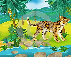 Cartoon scene - wild africa animals - leopard