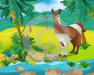 Cartoon scene - wild africa animals - llama