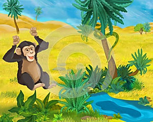 Cartoon scene - wild Africa animals - monkey