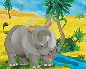 Cartoon scene - wild africa animals - rhino