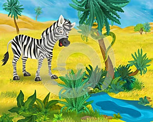 Cartoon scene - wild Africa animals - zebra