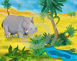 Cartoon scene - wild america animals - hippo