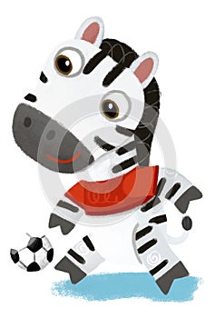 cartoon scene with wild animal zebra horse running with ball, football soccer like human on white background illustration for