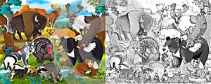 Progettazione della pittura scena Selvaggio gli animali birdwatching mammiferi Lupo un prossimo illustrazioni 