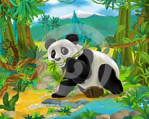 Cartoon scene - wild Asia animals - panda bear