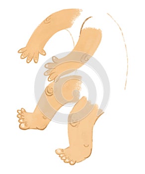 cartoon scene with young boy as anatomy model of body parts on white background illustration for children