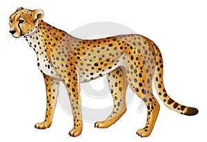 Cartoon scene with young cheetah resting on white background