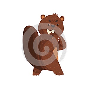 Cartoon scheming beaver with brown fur, little ears, shaped tail and big teeth. Forest rodent with wily and cunning