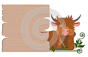 Cartoon scottish longhaired bull. For any design