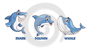 Cartoon Sea Animal Characters. Shark, Sharp-toothed Prankster With Mischievous Grin. Energetic Dolphin, Gentle Whale photo
