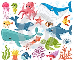 Cartoon sea animals. Cute ocean fish, octopus, shark and turtle, jellyfish, crab and seal. Underwater wildlife creatures