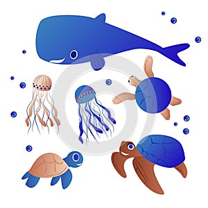 Cartoon sea animals. Cute Whale, turtles and jellyfish. Underwater wildlife creatures vector illustration set.