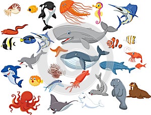 Cartoon sea animals isolated on white background
