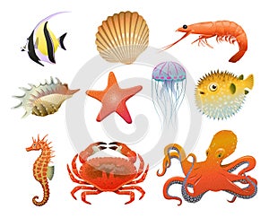 Cartoon Sea Fauna Elements Set