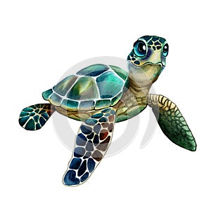 Cartoon Sea green turtle isolated on white background