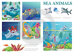 Cartoon Sea Life Composition