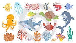 Cartoon sea life. Cute sea fish, aquatic corals, jellyfish and octopus. Funny shark and dolphin. Ocean crab, sea turtle photo