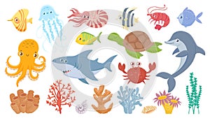 Cartoon sea life. Cute sea fish, aquatic corals, jellyfish and octopus. Funny shark and dolphin. Ocean crab, sea turtle