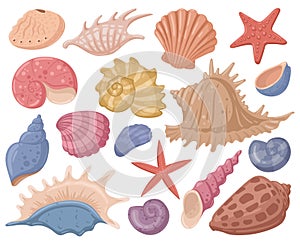 Cartoon sea shell, starfish, marine mollusks shells, underwater clams