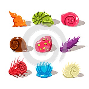 Cartoon Sea Shells. Vector Illustration Set