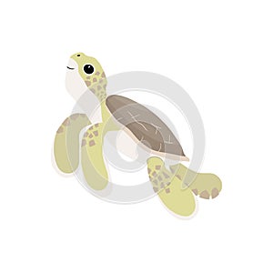 cartoon sea turtle baby swimming, vector illustration isolated on white, vector illustration in childish style for kids