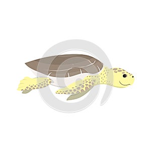 cartoon sea turtle baby swimming, vector illustration isolated on white, vector illustration in childish style for kids