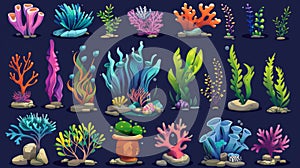 Cartoon seabed design elements - seaweed and corals, fishes, stones and broken clay pot for seabed design. Marine and