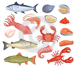 Cartoon seafood. Fresh fish, oyster, lobster, red tuna, salmon, octopus, shrimp, squid. Raw sea animal gourmet food photo