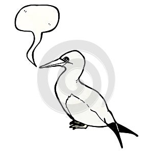 cartoon seagull