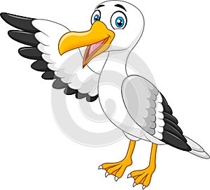 Cartoon seagull presenting on white background photo