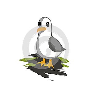 Cartoon cute vector Seagull