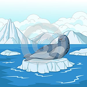 Cartoon seal on ice floe