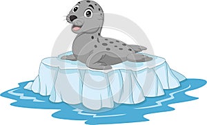 Cartoon seal on ice floe