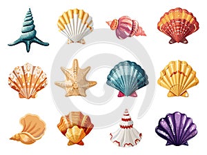 Cartoon seashells colorful shell starfish coral conch cockleshell sea beach underwater scallop set vector illustration