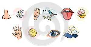 Cartoon sensory organs icons. Nose, ear, hand, tongue and eye. Five human senses education concept. Vector illustration